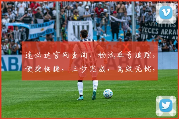 速必达官网查询，物流单号追踪，便捷快捷，三步完成，高效无忧，一站式服务。