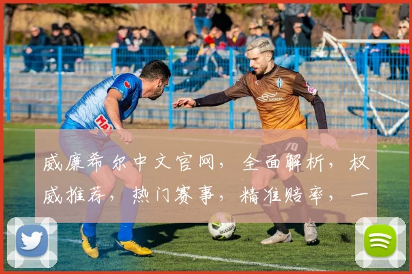 威廉希尔中文官网，全面解析，权威推荐，热门赛事，精准赔率，一站掌握
