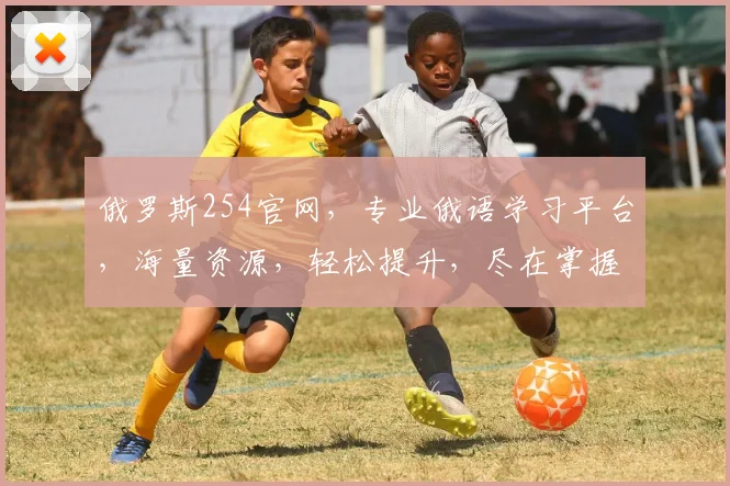 俄罗斯254官网，专业俄语学习平台，海量资源，轻松提升，尽在掌握，不容错过