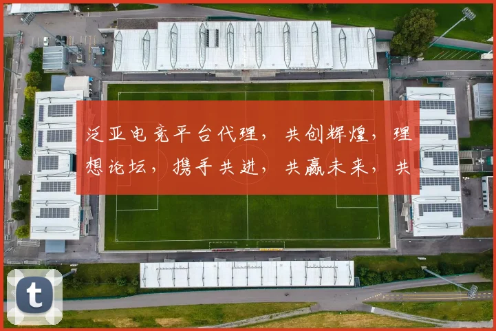 泛亚电竞平台代理，共创辉煌，理想论坛，携手共进，共赢未来，共谋电竞新篇章